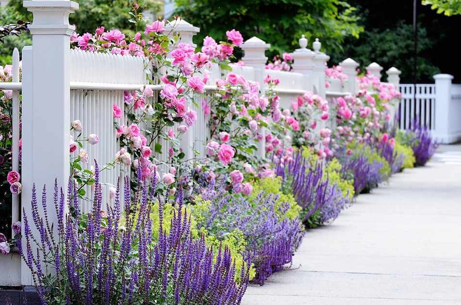 13. Romantic Fences Front Yard Landscaping Ideas
