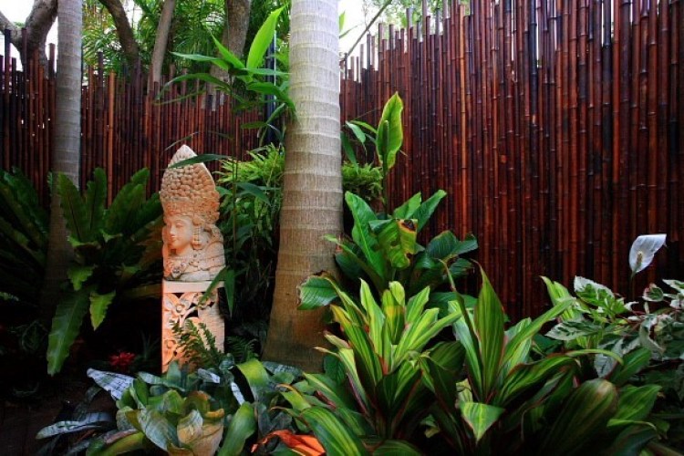 Bamboo_Fence_Screens