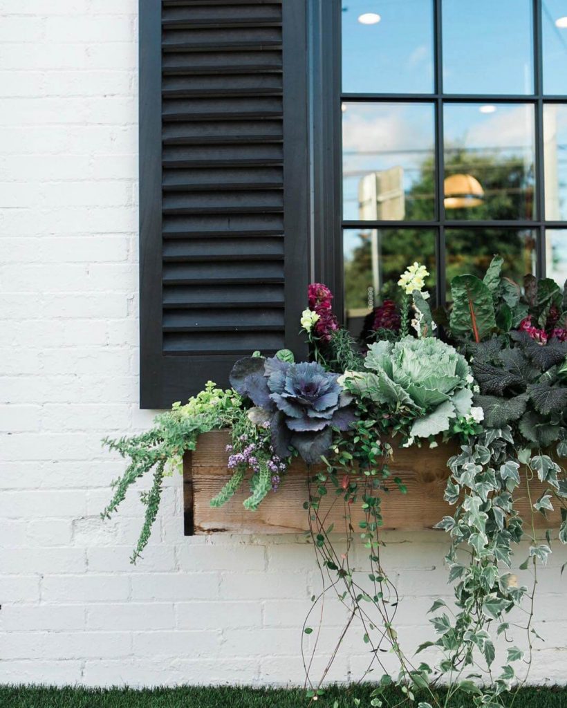 box window treatment ideas