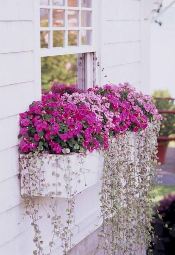 window box design ideas