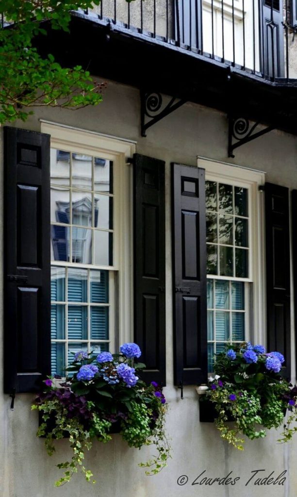 window box ideas