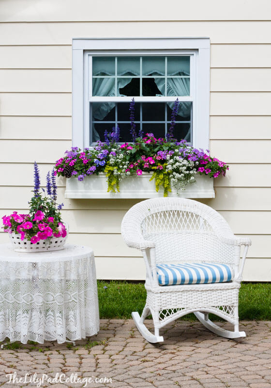 window box planting ideas