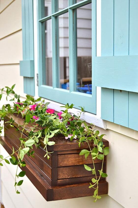 window boxes ideas tips