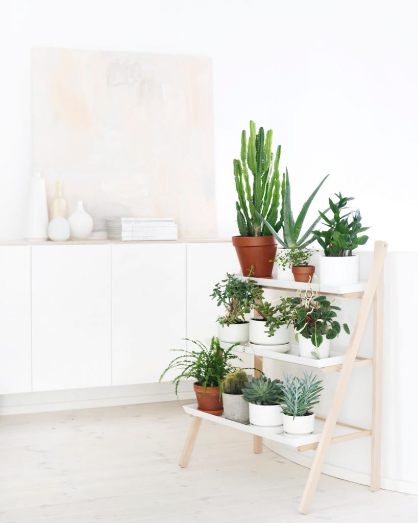 indoor garden ideas