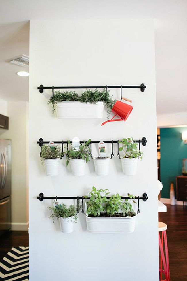 indoor garden ideas pinterest