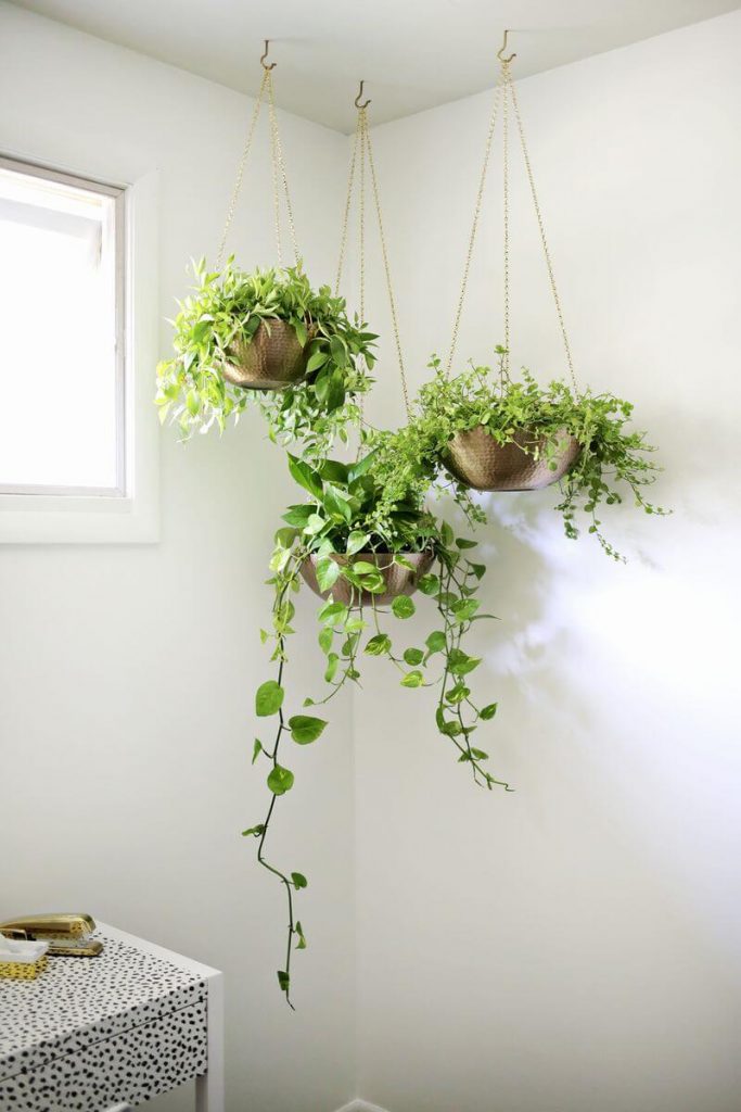 diy hanging planters