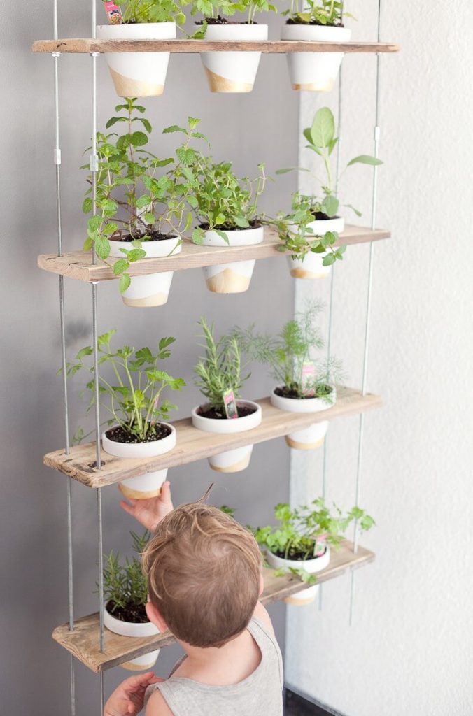 diy hanging planters indoor