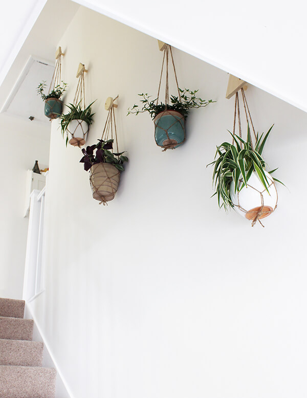 diy wall hanging planters