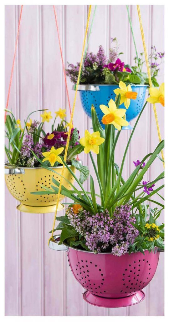 hanging planters pots