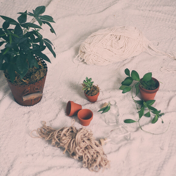 hanging planters rope