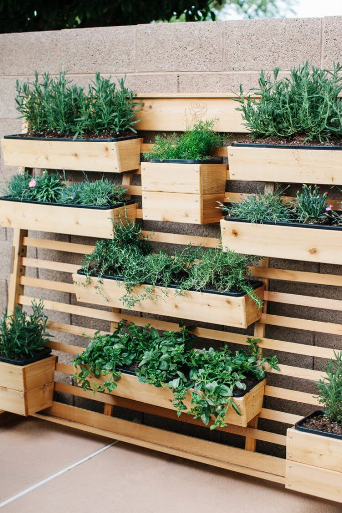 herb garden ideas pinterest
