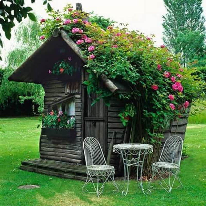 rustic she shed ideas