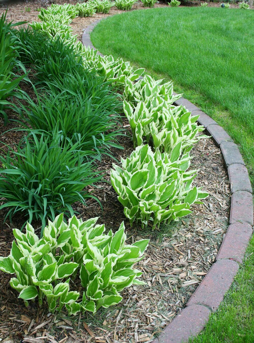 edging flower bed ideas