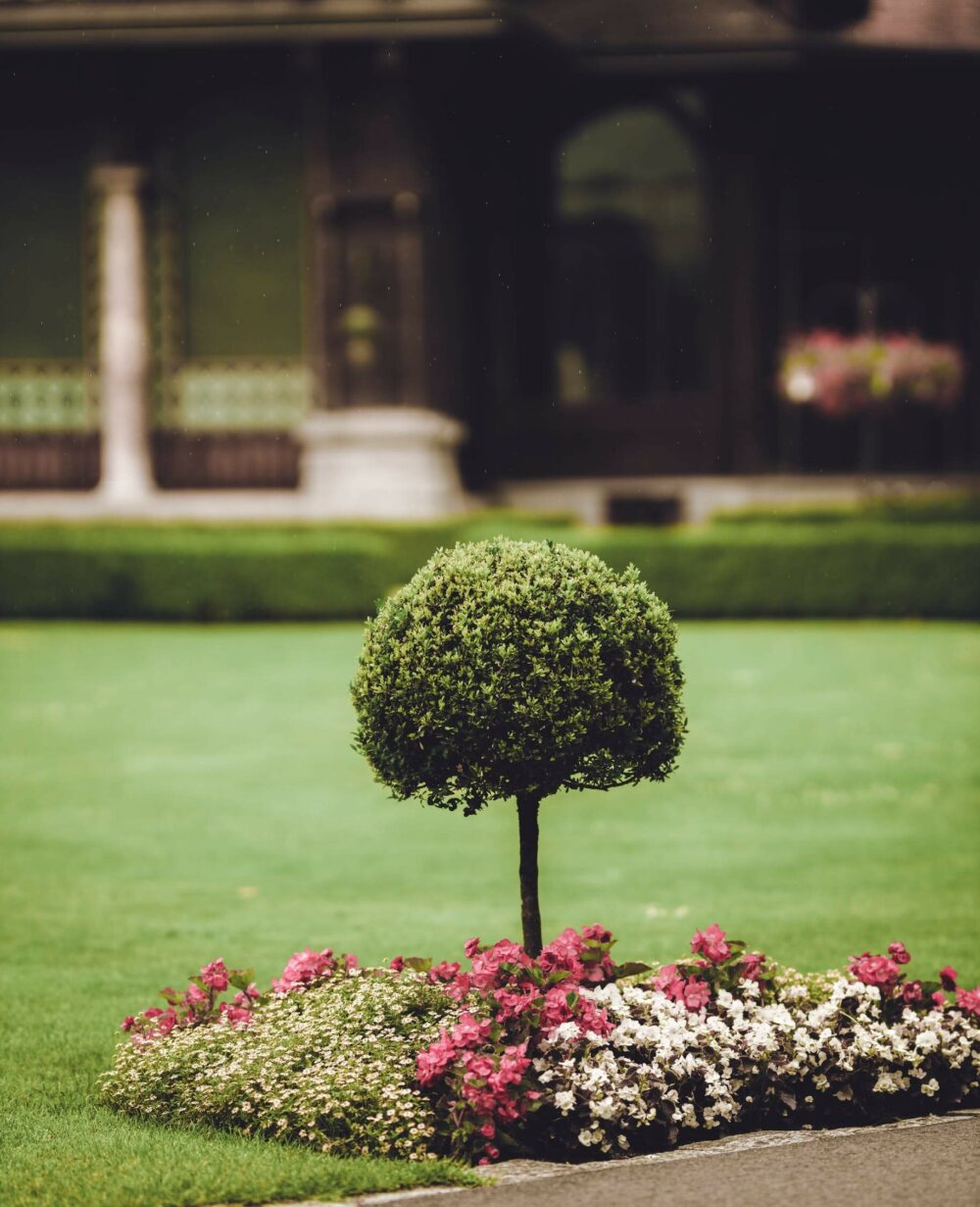 flower bed ideas around tree