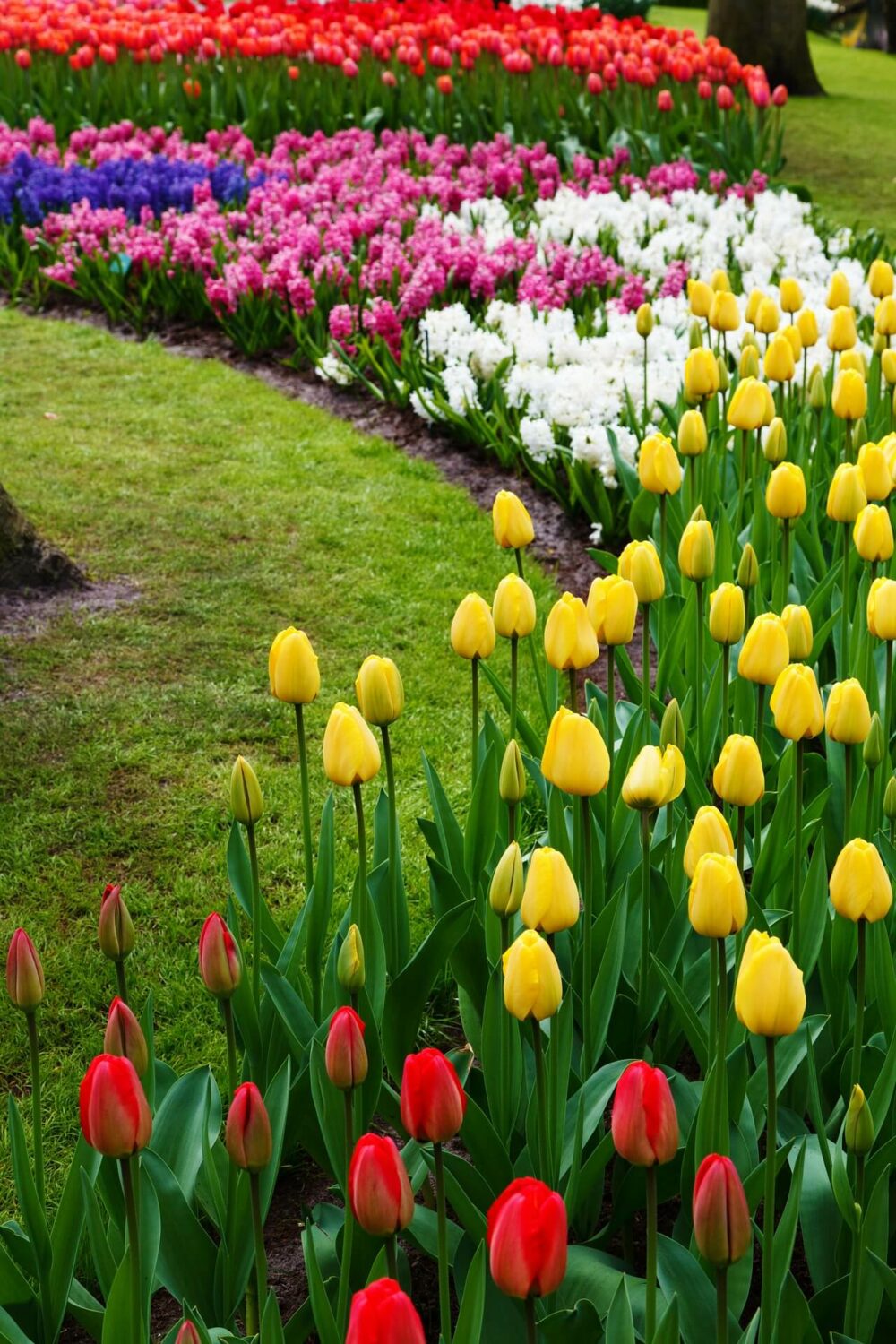 flower bed ideas full sun