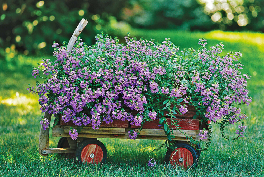 front flower bed ideas