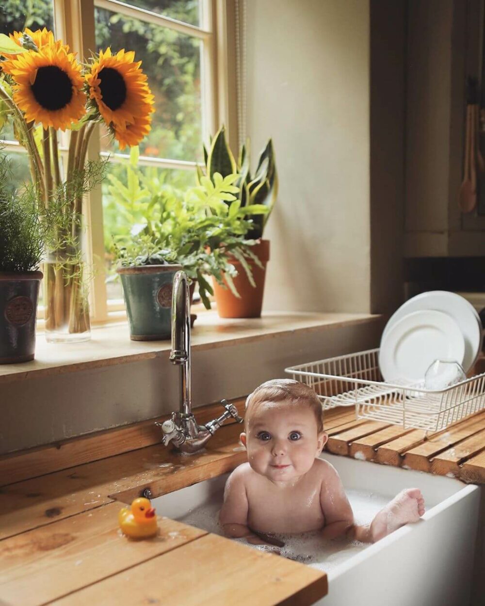 kitchen sink organization ideas