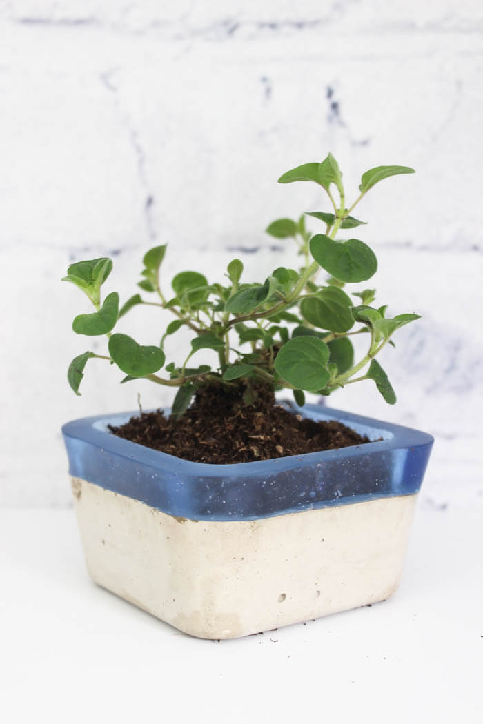 diy concrete hand planters & bowls