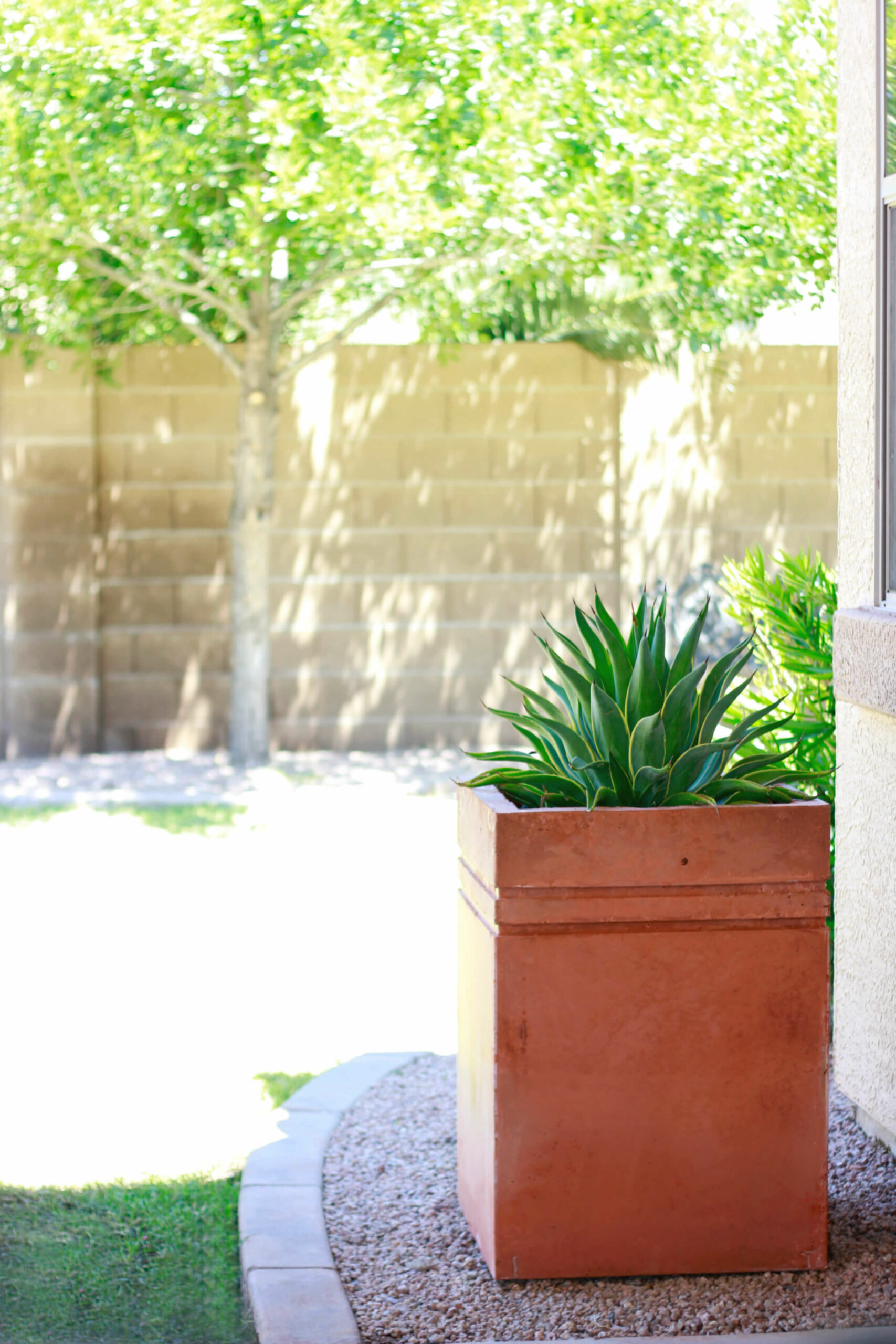 diy concrete planters large
