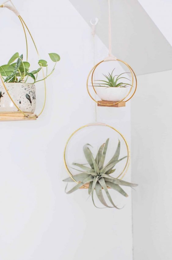 DIY Brass Ring Hanging Planter