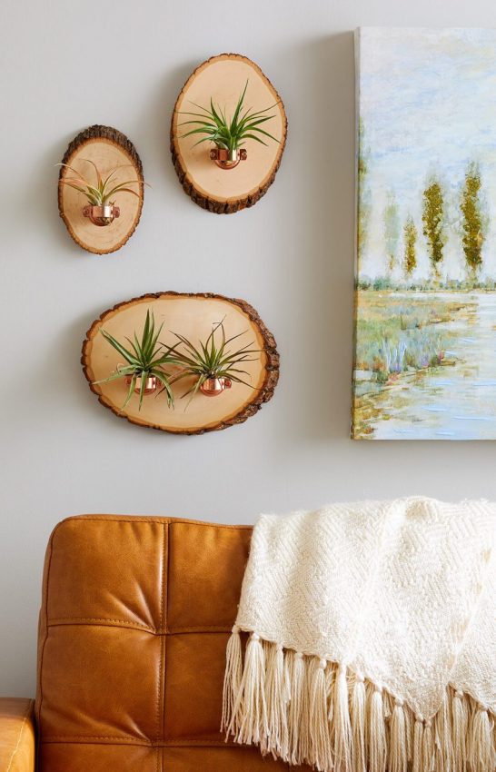 DIY Hanging Air Plant Holders
