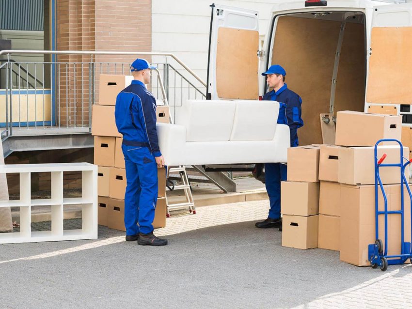 Furniture Living Room Store Delivery Time