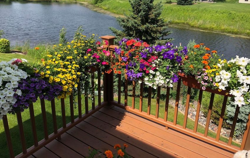 Gardening Ideas for Small Front Yards with Creative Space