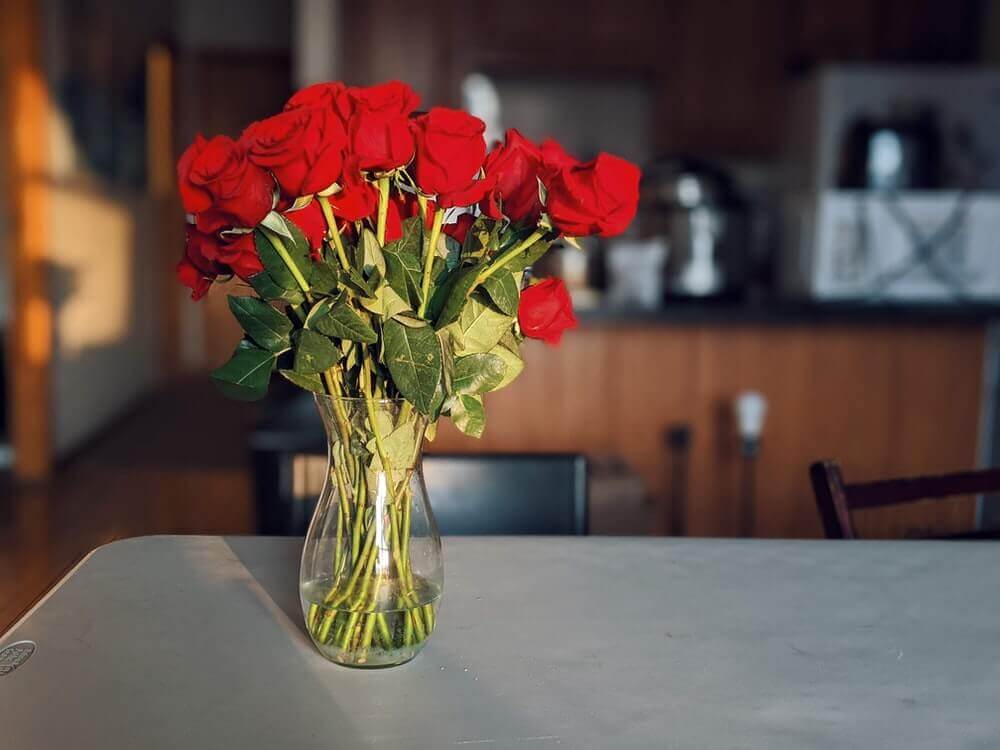 Keep Roses Away from Heat Sunbeams Drafts and Fruit